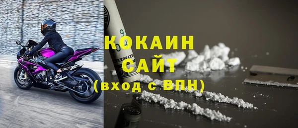 бошки Богданович